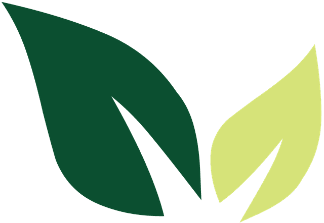 IFM Logo