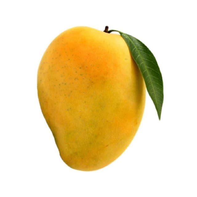 Test Vendor