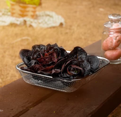Vendor IMG